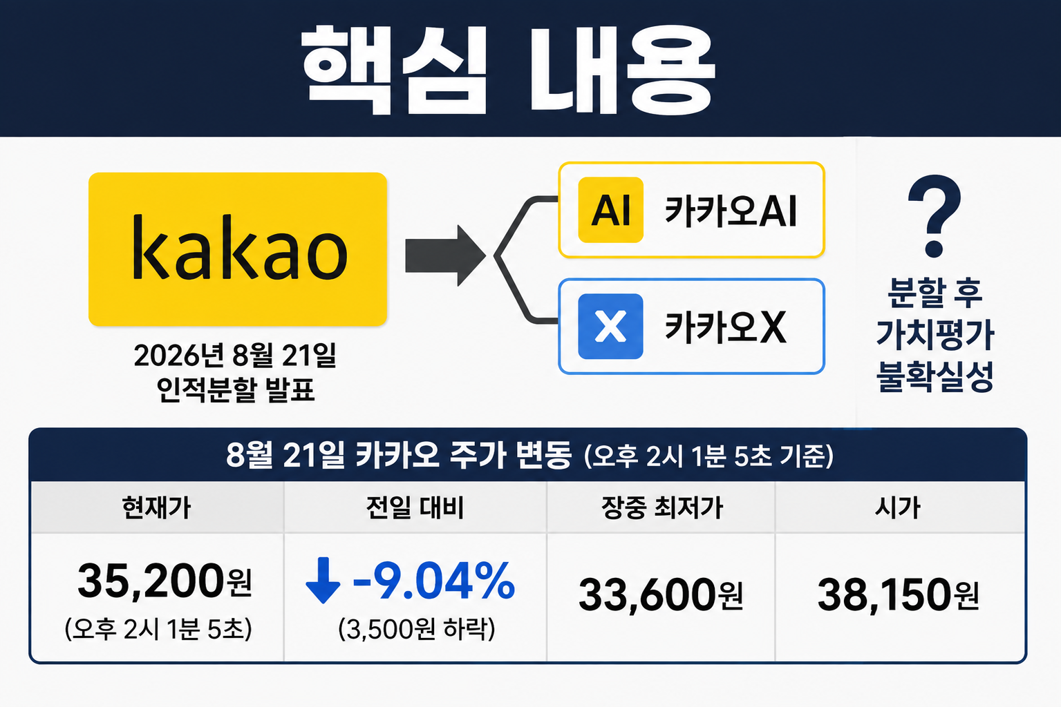 카카오 인적분할 주가 하락 이유, 14시 1분 9.04%↓…분할 뒤 가치평가 불확실성이 변수 - 핵심 내용 핵심 내용을 정리한 정보형 이미지